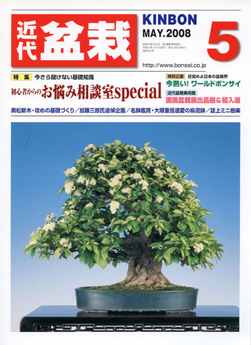 月刊「近代盆栽」2008年5月号