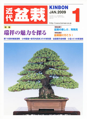 月刊「近代盆栽」2009年1月号