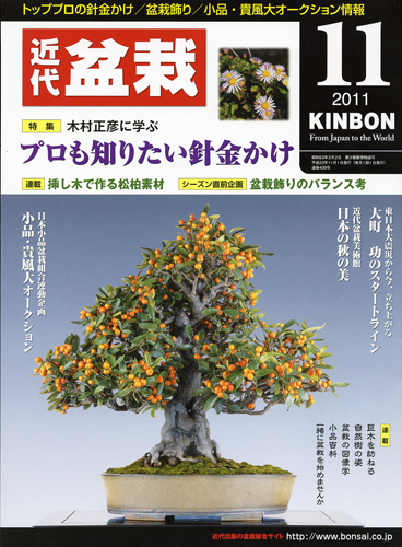 月刊「近代盆栽」2011年11月号