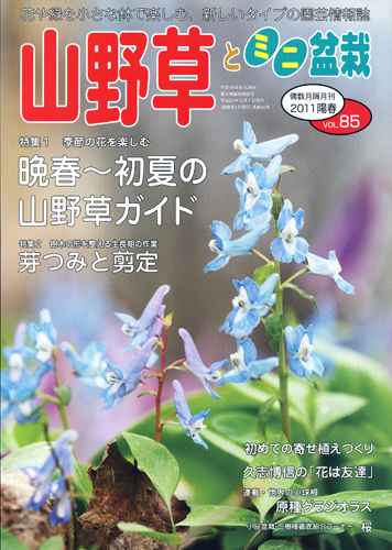 隔月刊「山野草とミニ盆栽」11年陽春号