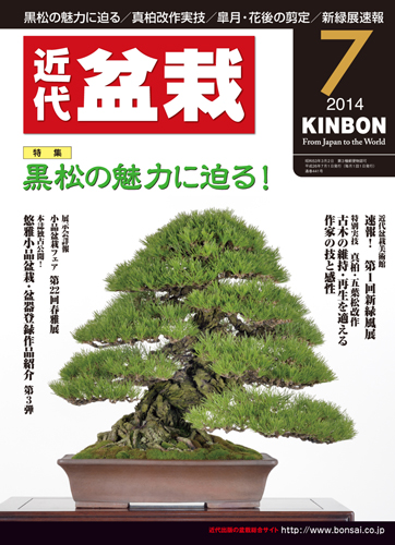 月刊「近代盆栽」2014年7月号