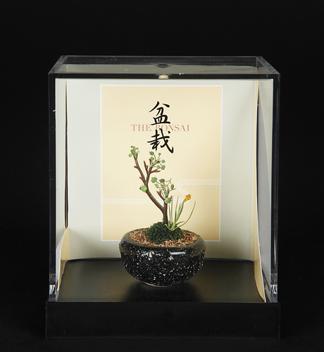 ミニチュア盆栽模型「寄せ植え　丸鉢」