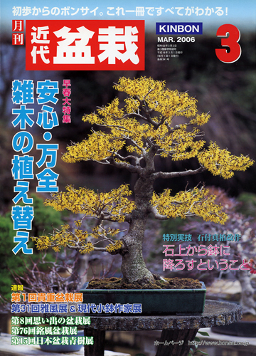 月刊「近代盆栽」2006年3月号