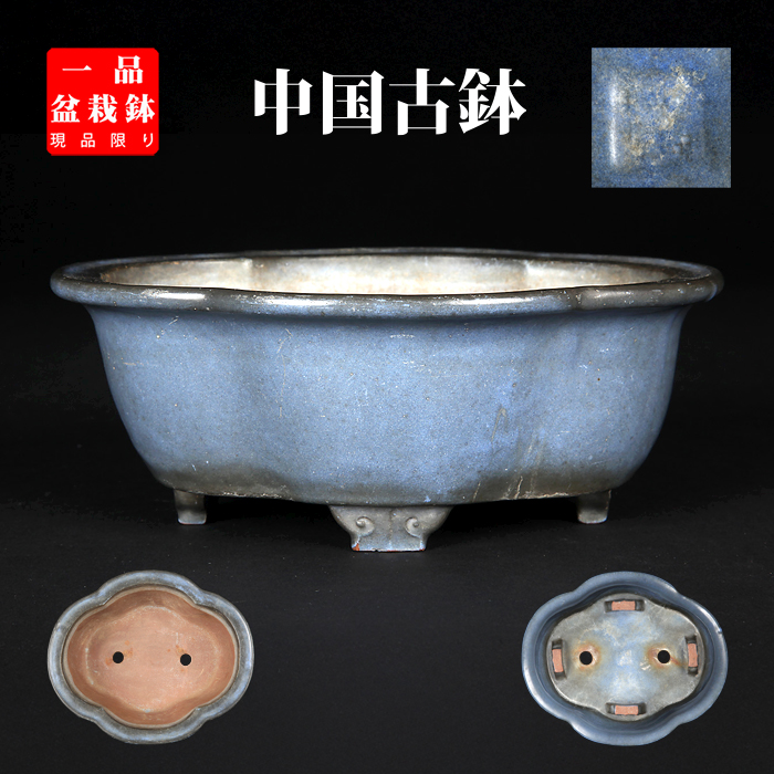 均釉外縁木瓜式鉢