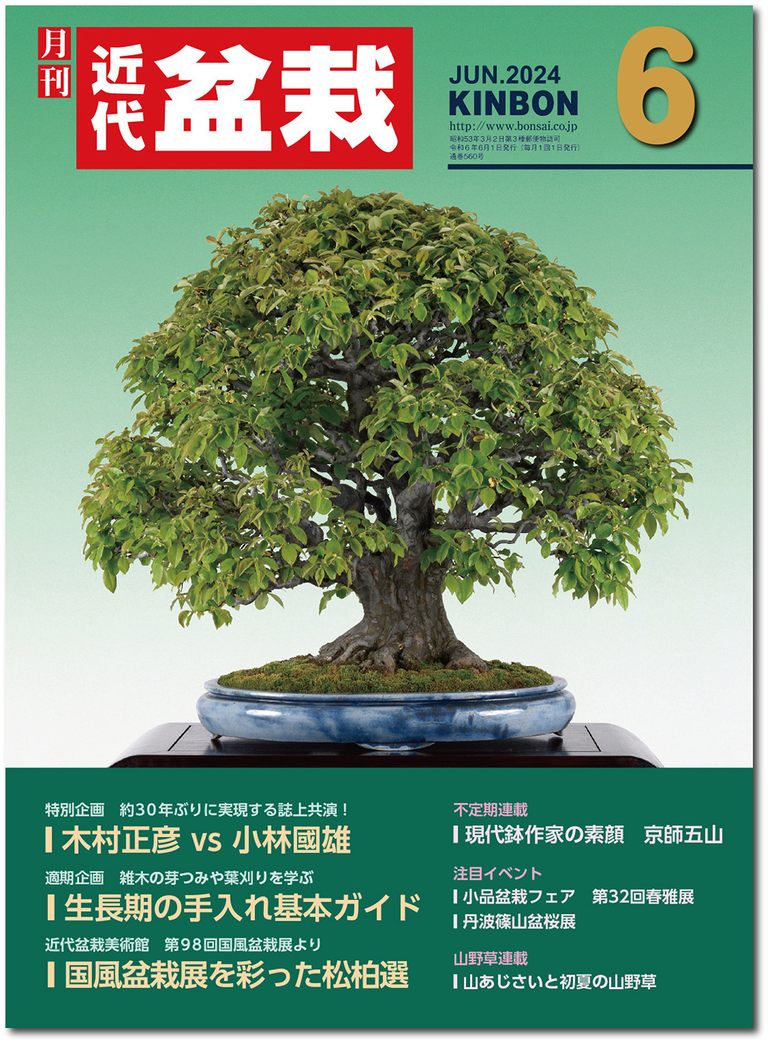 月刊「近代盆栽」2024年6月号