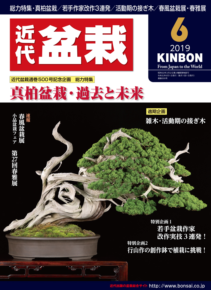 月刊「近代盆栽」2019年6月号