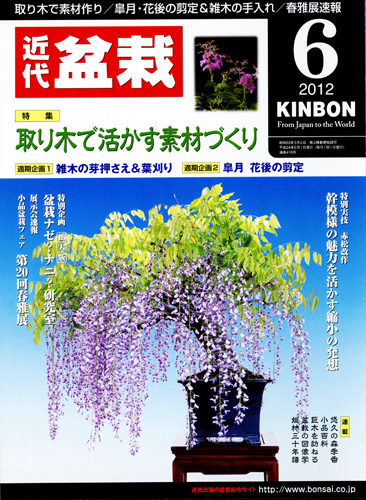月刊「近代盆栽」2012年6月号