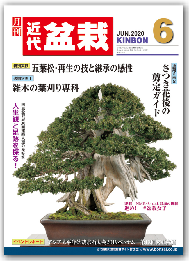 月刊「近代盆栽」2020年6月号