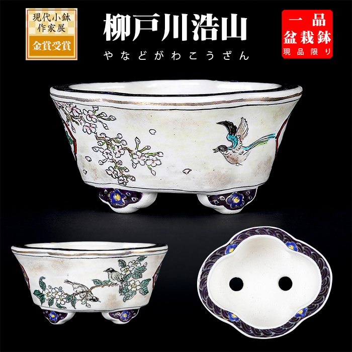 柳戸川浩山花鳥図木瓜式鉢 NO.282
