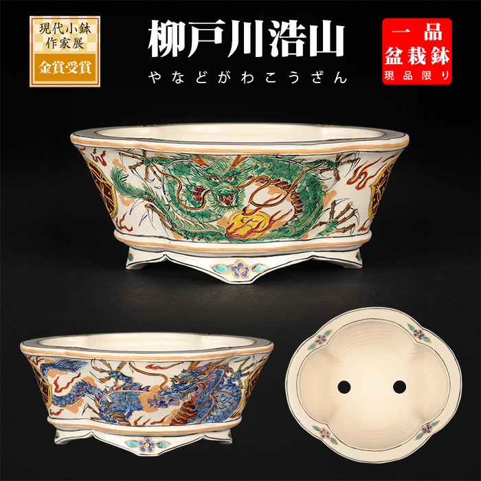 柳戸川浩山龍図木瓜式鉢　NO.166