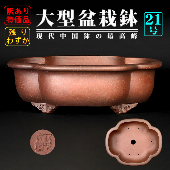 紫泥外縁木瓜式鉢〔二級品特価〕