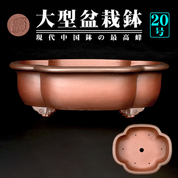 紫泥外縁木瓜式鉢