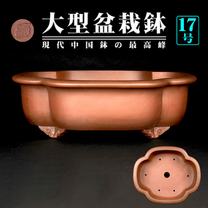 紫泥外縁木瓜式鉢