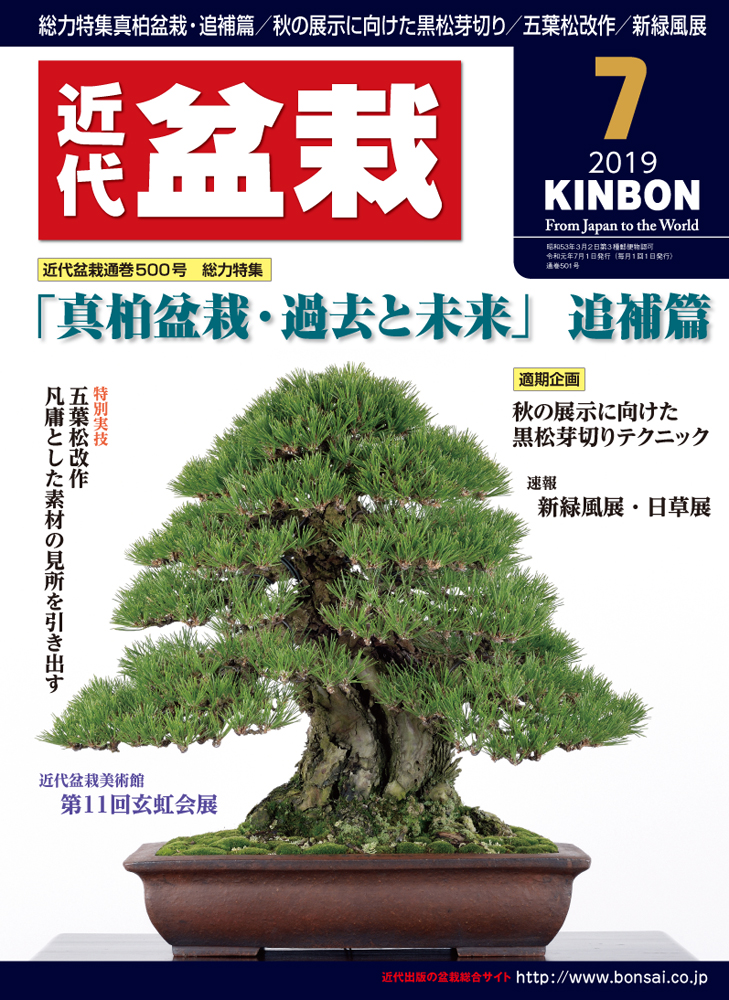 月刊「近代盆栽」2019年7月号