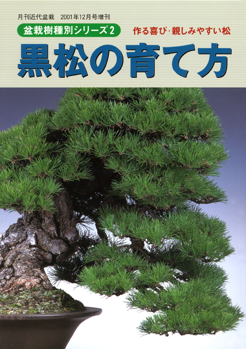 黒松の育て方