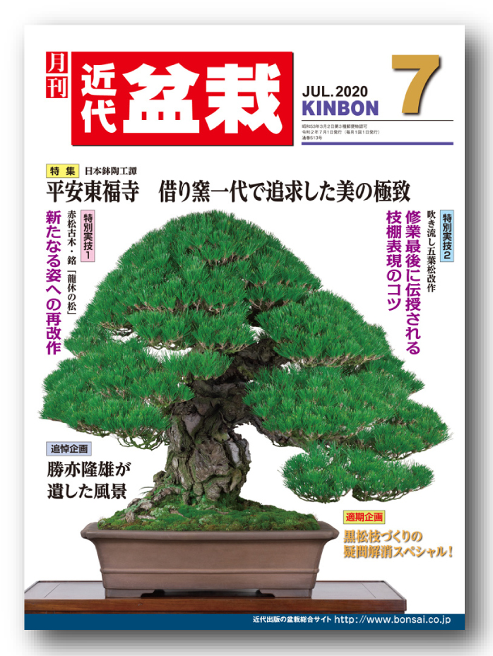 月刊「近代盆栽」2020年7月号