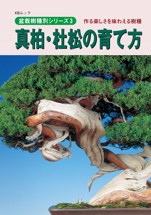 真柏・杜松の育て方