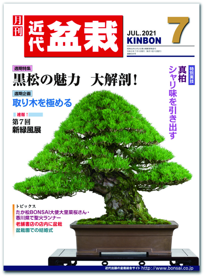 月刊「近代盆栽」2021年7月号