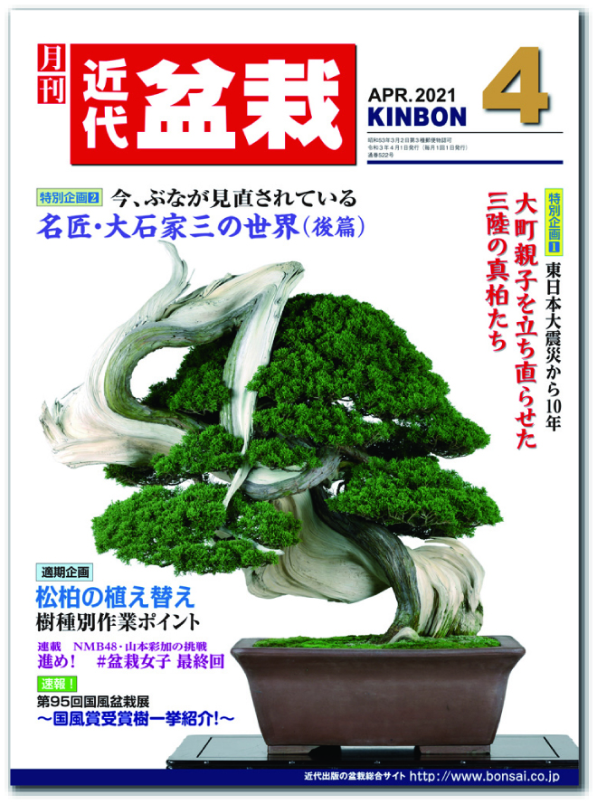 月刊「近代盆栽」2021年4月号