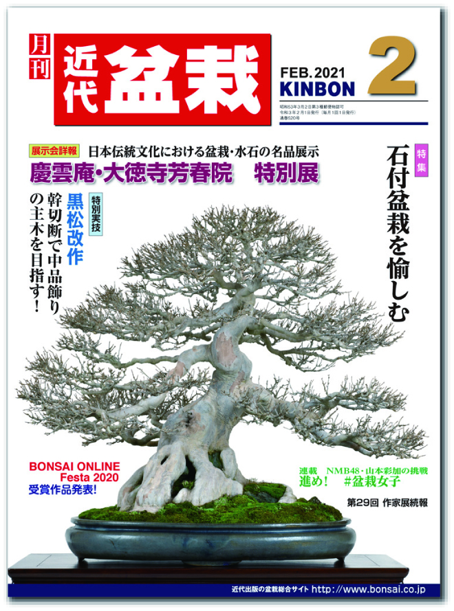 月刊「近代盆栽」2021年2月号