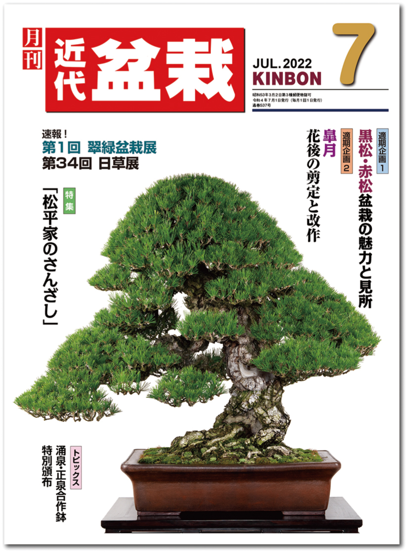 月刊「近代盆栽」2022年7月号