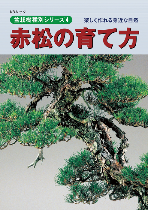 赤松の育て方
