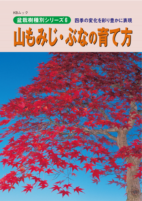 山もみじ・ぶなの育て方