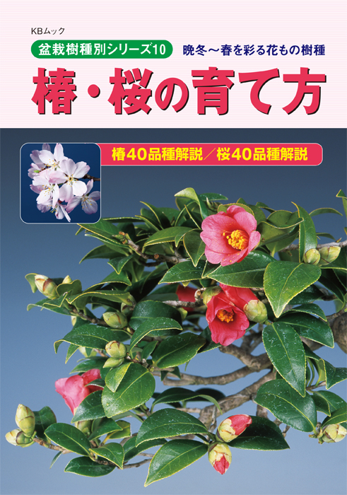 椿・桜の育て方