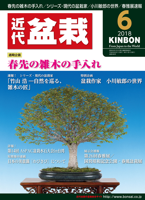 月刊「近代盆栽」2018年6月号