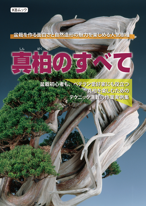 真柏のすべて