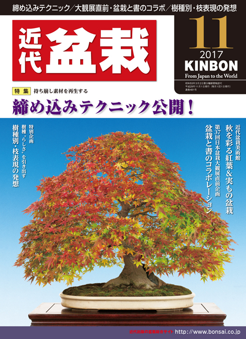 月刊「近代盆栽」2017年11月号
