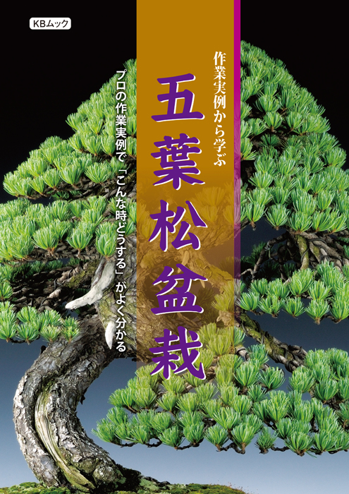 作業実例から学ぶ　五葉松盆栽