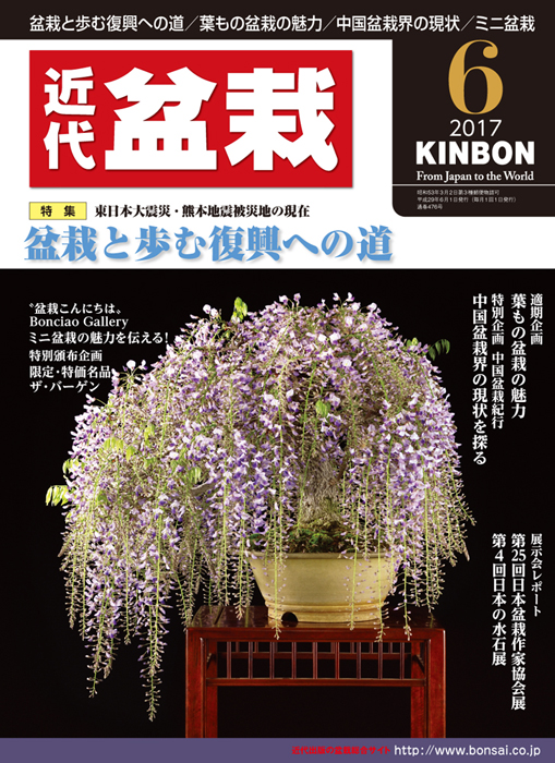 月刊「近代盆栽」2017年6月号