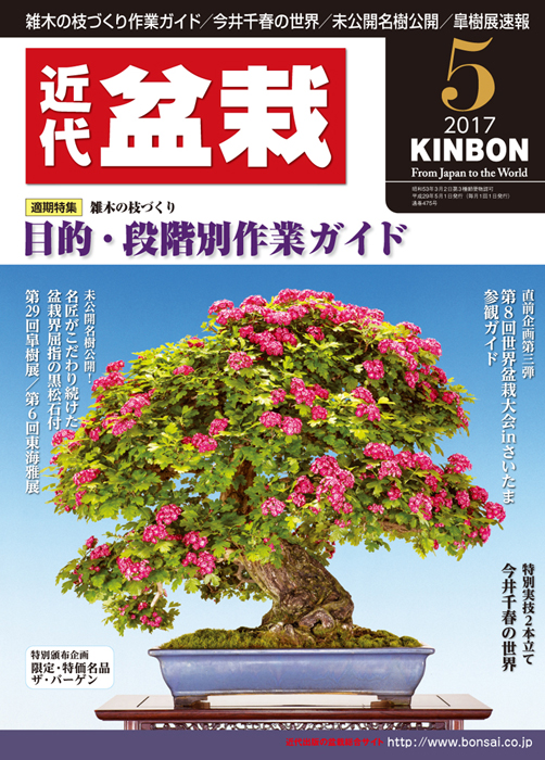 月刊「近代盆栽」2017年5月号