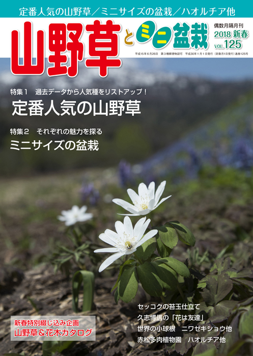 隔月刊「山野草とミニ盆栽」18年新春号