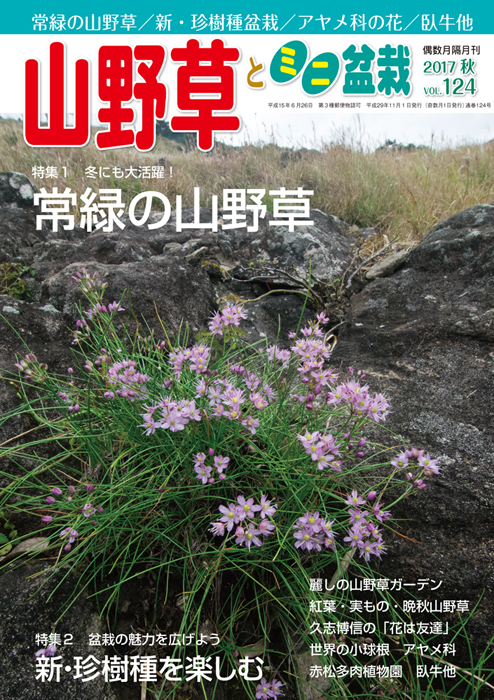 隔月刊「山野草とミニ盆栽」17年秋号