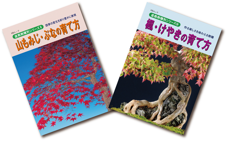 盆栽を代表する葉物盆栽　山もみじ・ぶな・楓・けやきの育て方2冊セット