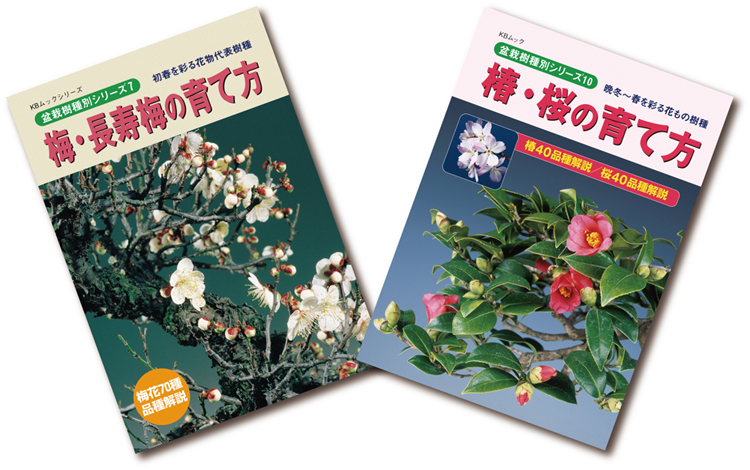 季節を彩る花物盆栽　梅・長寿梅・椿・桜の育て方2冊セット