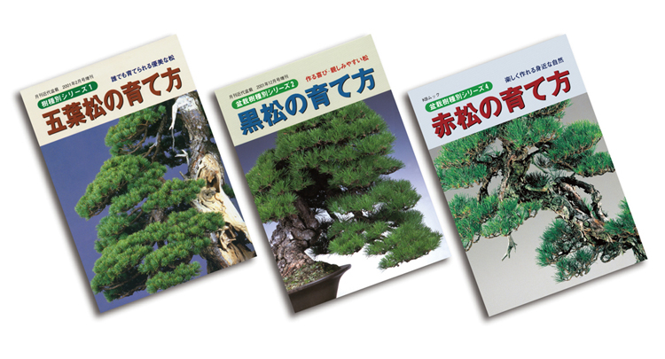 盆栽を代表する松盆栽　五葉松・黒松・赤松の育て方3冊セット