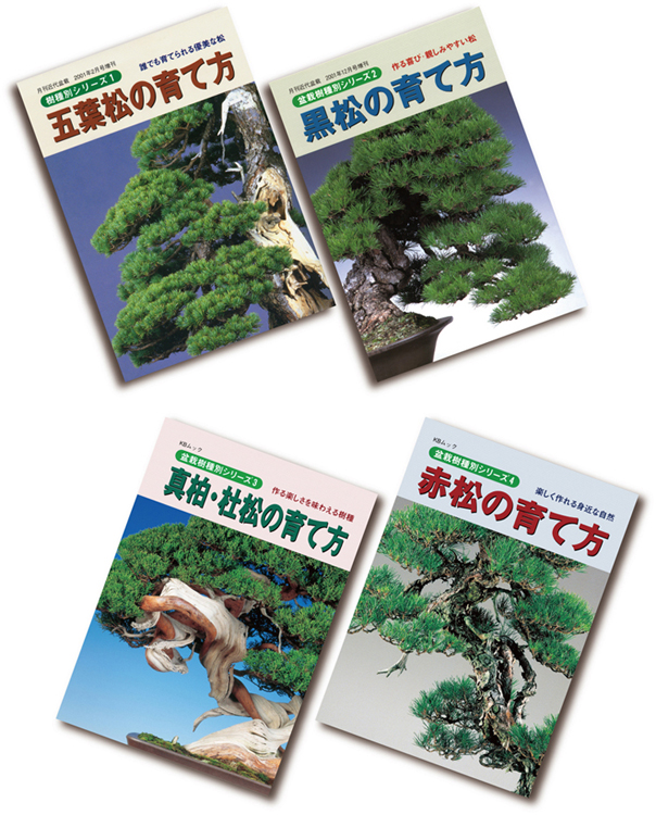盆栽と言えば松柏盆栽　五葉松・黒松・赤松・真柏・杜松の育て方4冊セット