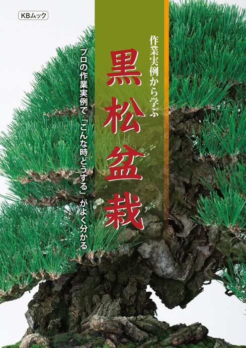 作業実例から学ぶ　黒松盆栽