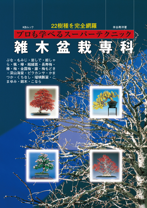 雑木盆栽専科