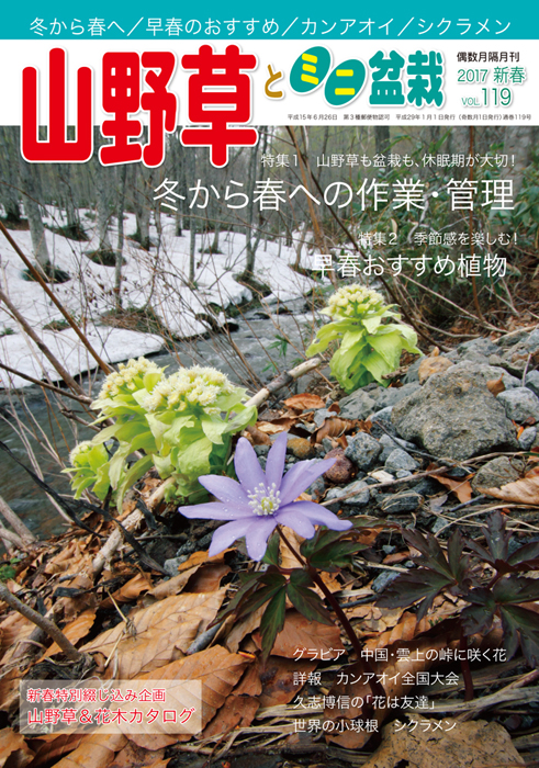 隔月刊「山野草とミニ盆栽」17年新春号