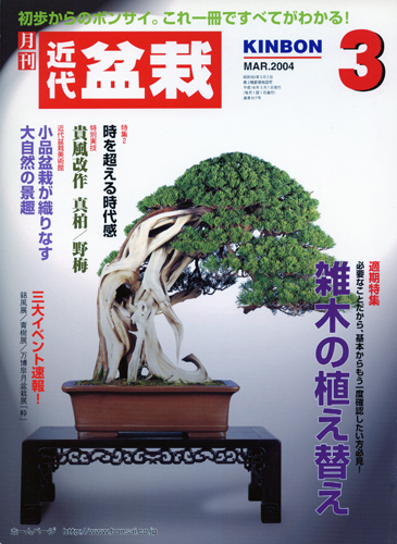 月刊「近代盆栽」2004年3月号