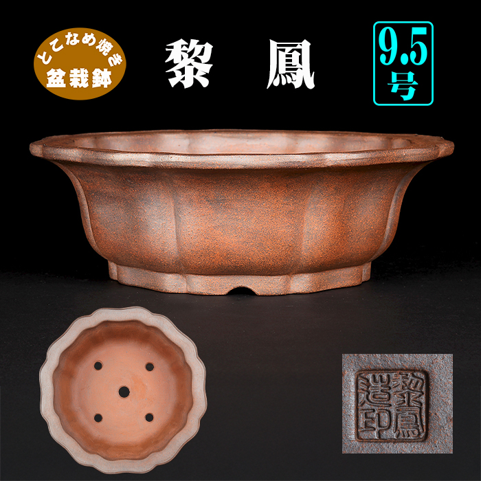 黎鳳輪花式鉢