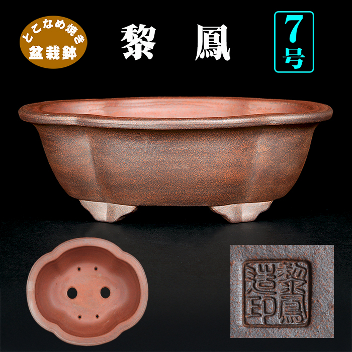 黎鳳木瓜式鉢