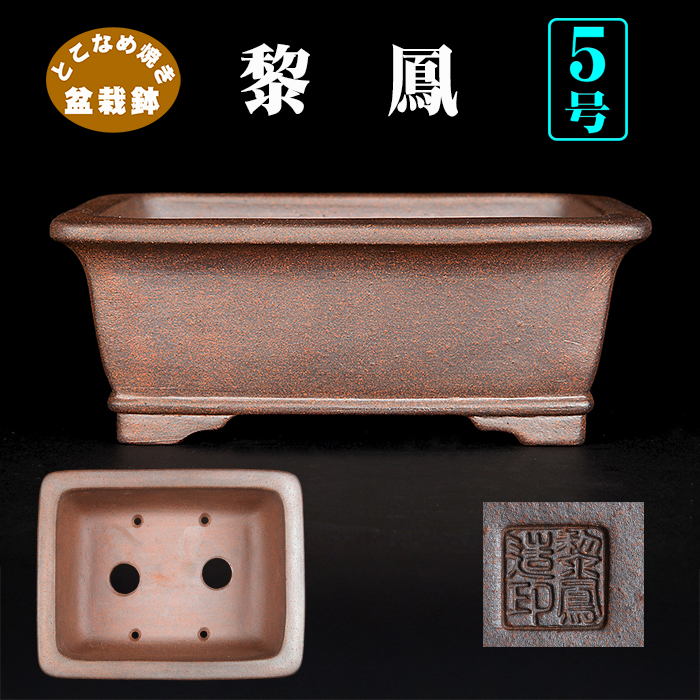 黎鳳下紐長方鉢