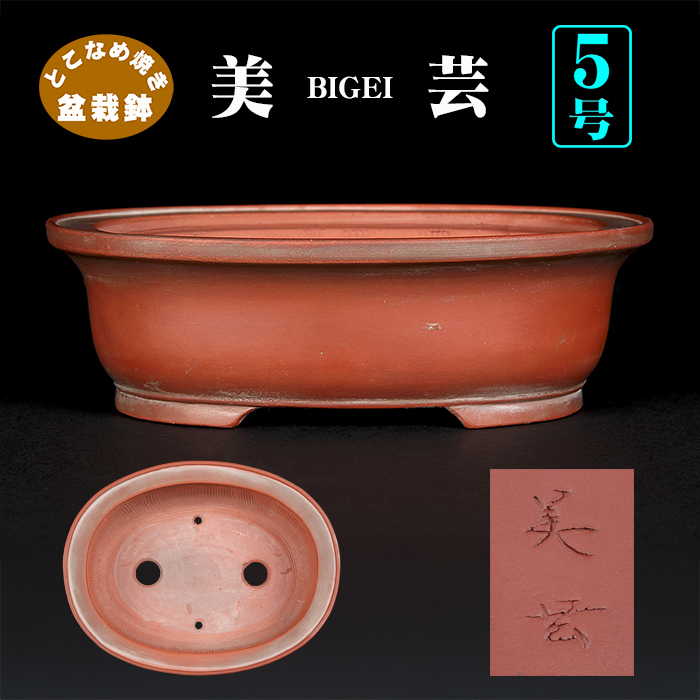 美芸楕円鉢