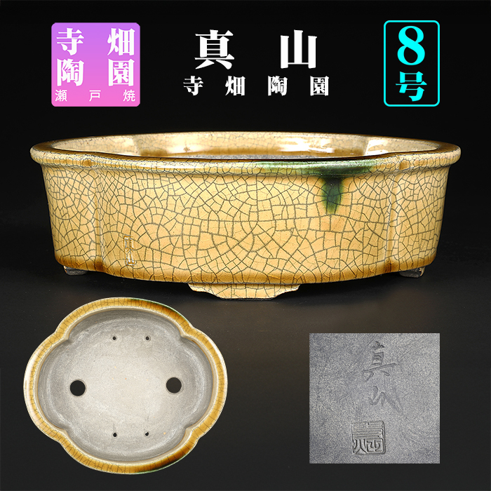 真山黄瀬戸釉木瓜式鉢