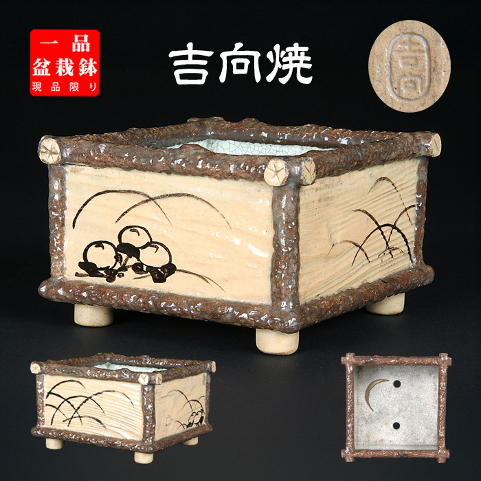 吉向焼絵付正方鉢
